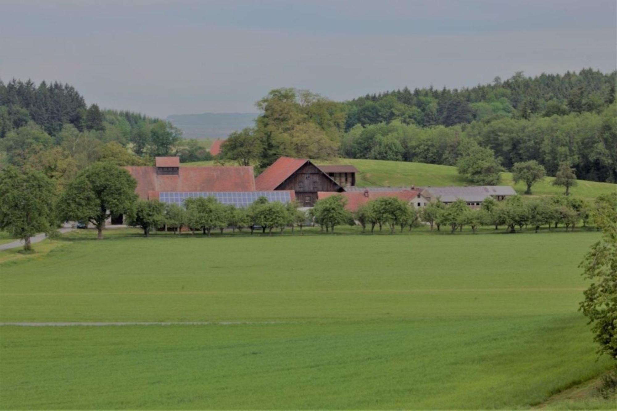 Roesslerhof Ferienwohnung Roesslerweiher Schlier ภายนอก รูปภาพ
