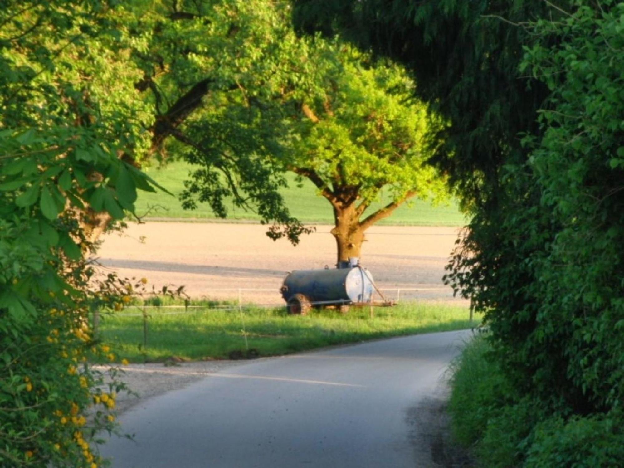 Roesslerhof Ferienwohnung Roesslerweiher Schlier ภายนอก รูปภาพ